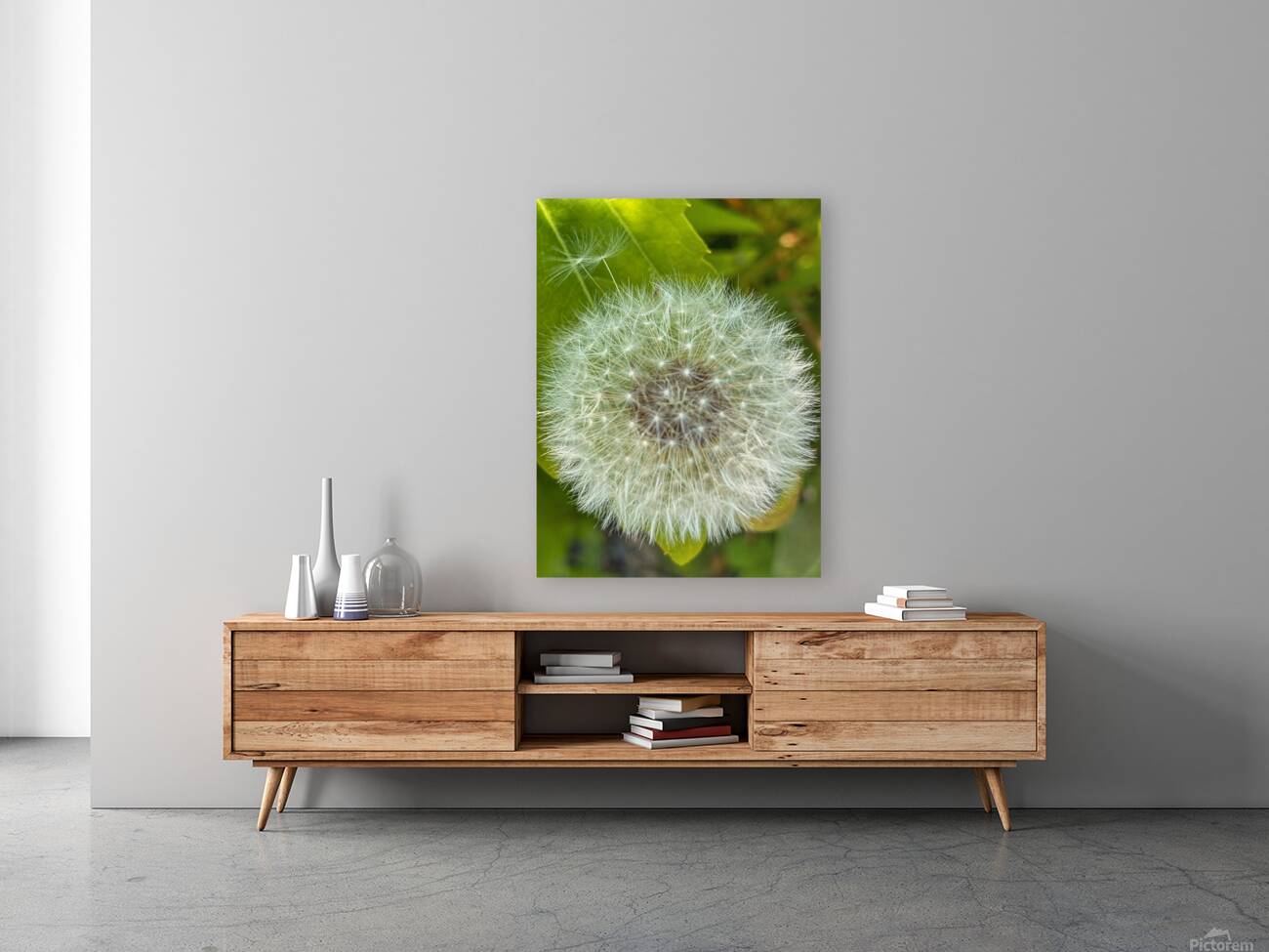 Dandelion pollen Reproduction