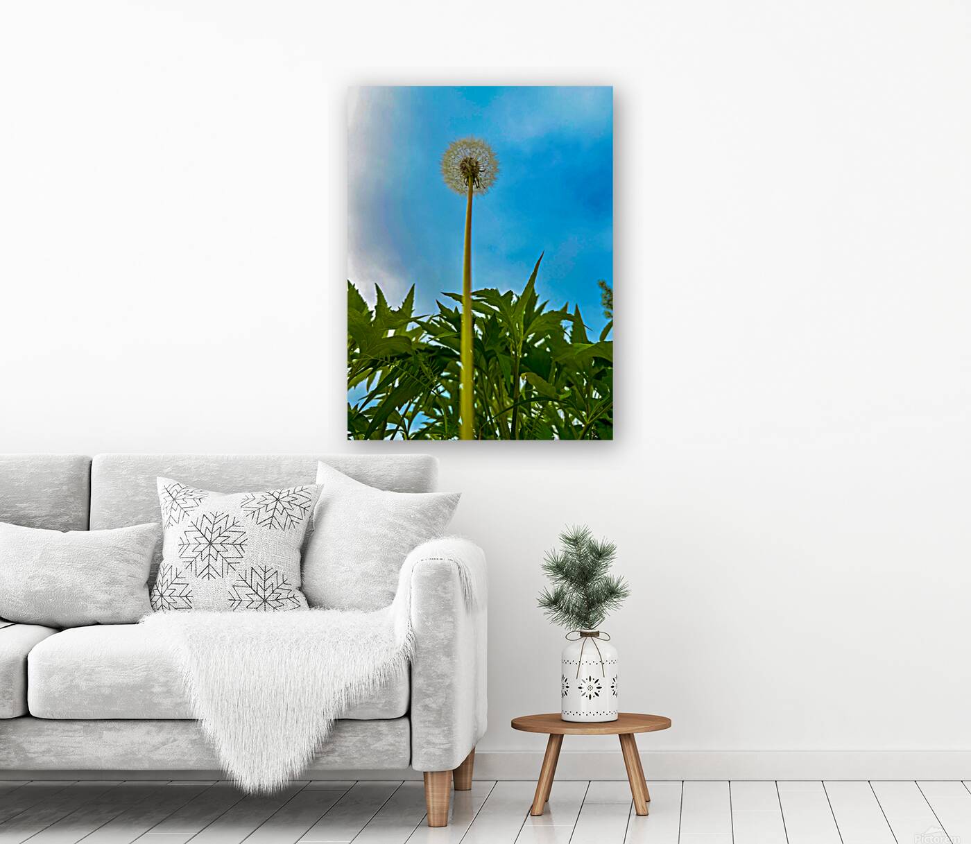 Dandelion Reproduction