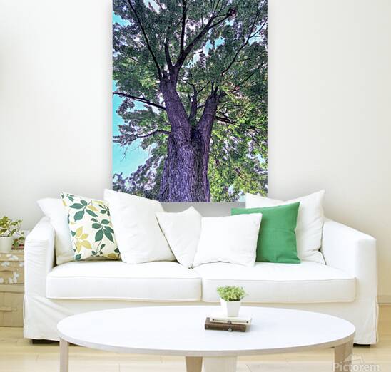 Tree Reproduction