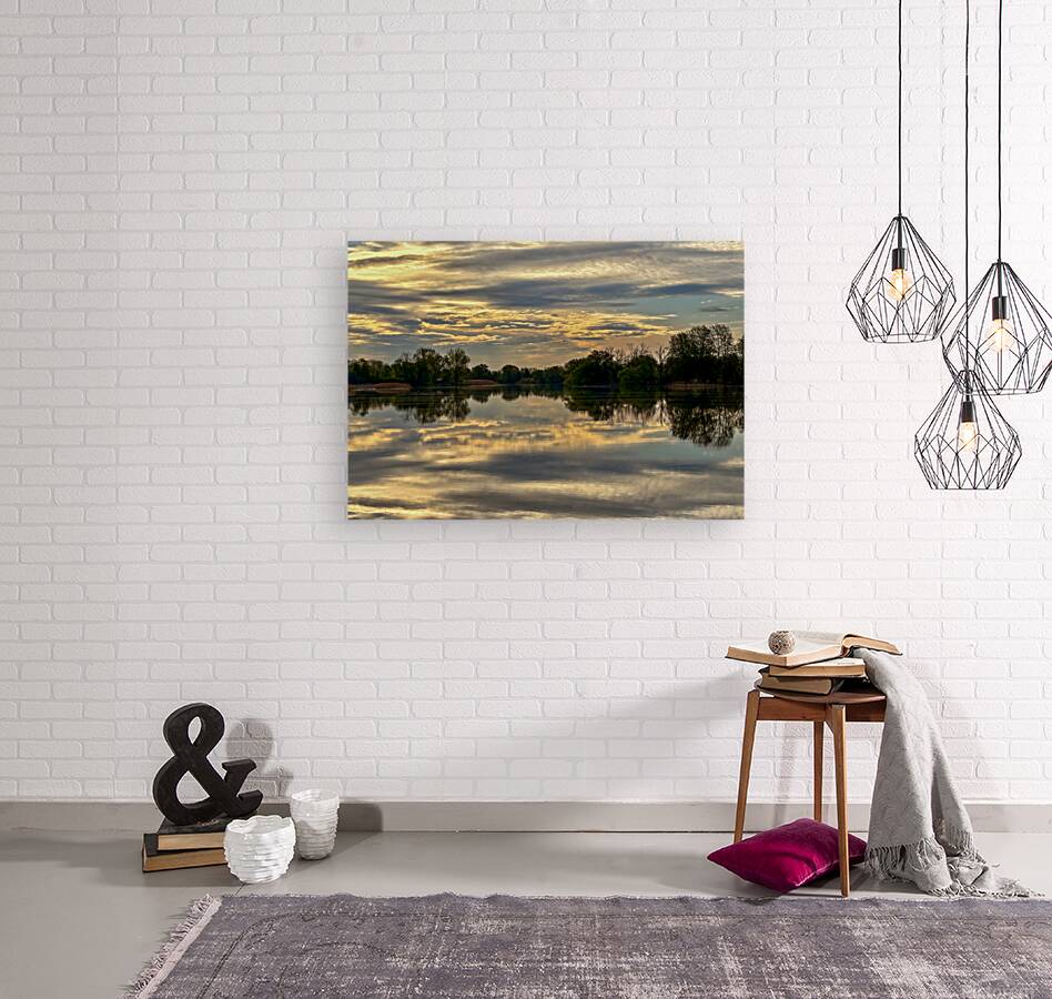 MIRROR REFLECTION Reproduction