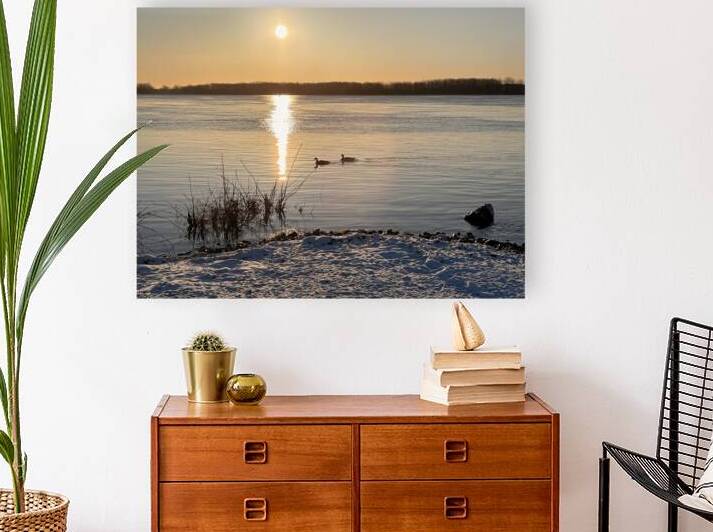 Sunrise and Bustards by Genevieve Gagnon