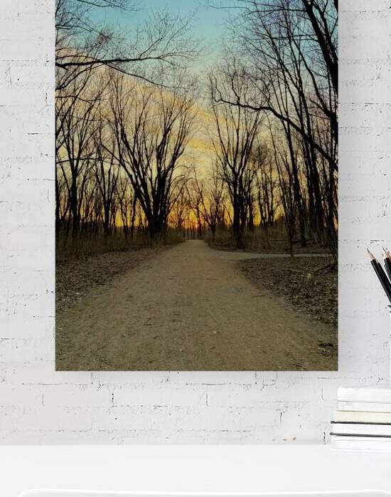 Sunset in a wooded area Reproduction