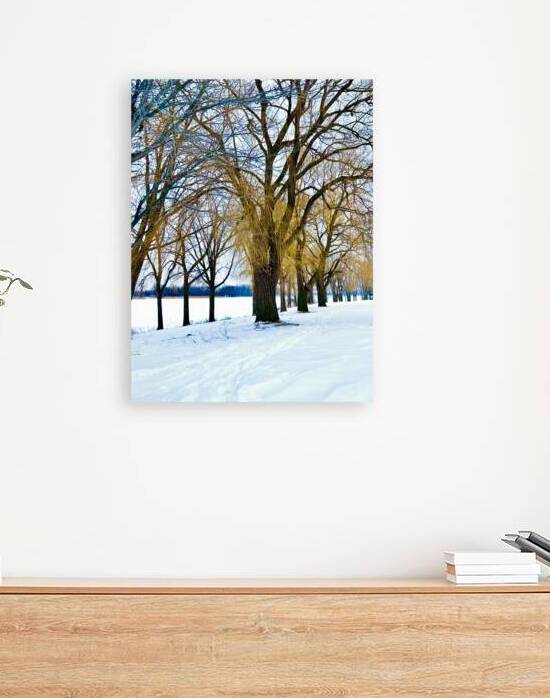 Color in winter Reproduction