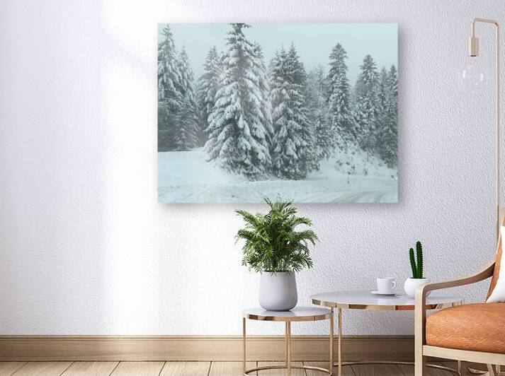 Snow-covered fir tree by Genevieve Gagnon