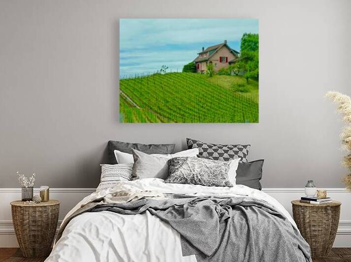 Terraced vineyard 3 by Genevieve Gagnon