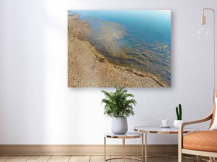 Imaginary reef by Genevieve Gagnon