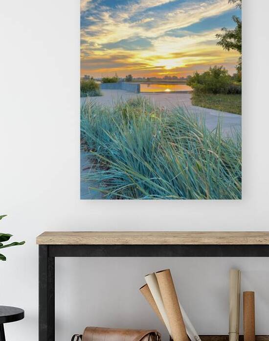 Grasses at dusk Reproduction