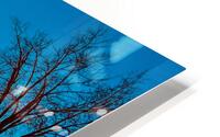 Sunrise in winter HD Metal print