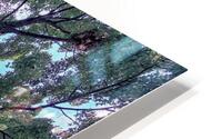 Tree HD Metal print