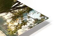 Tree shadows HD Metal print