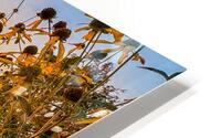 Autumn Shards HD Metal print