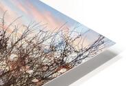 Sweet November HD Metal print