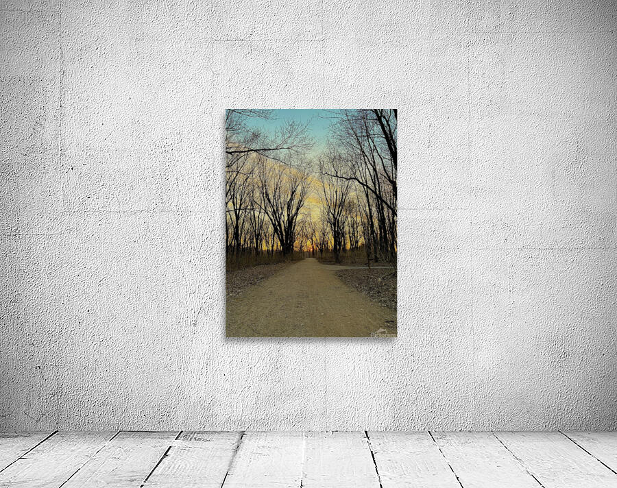 Sunset in a wooded area Wall Preview