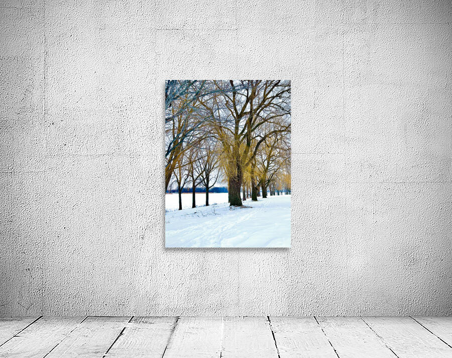 Color in winter Wall Preview