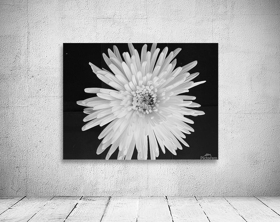 Flower Wall Preview
