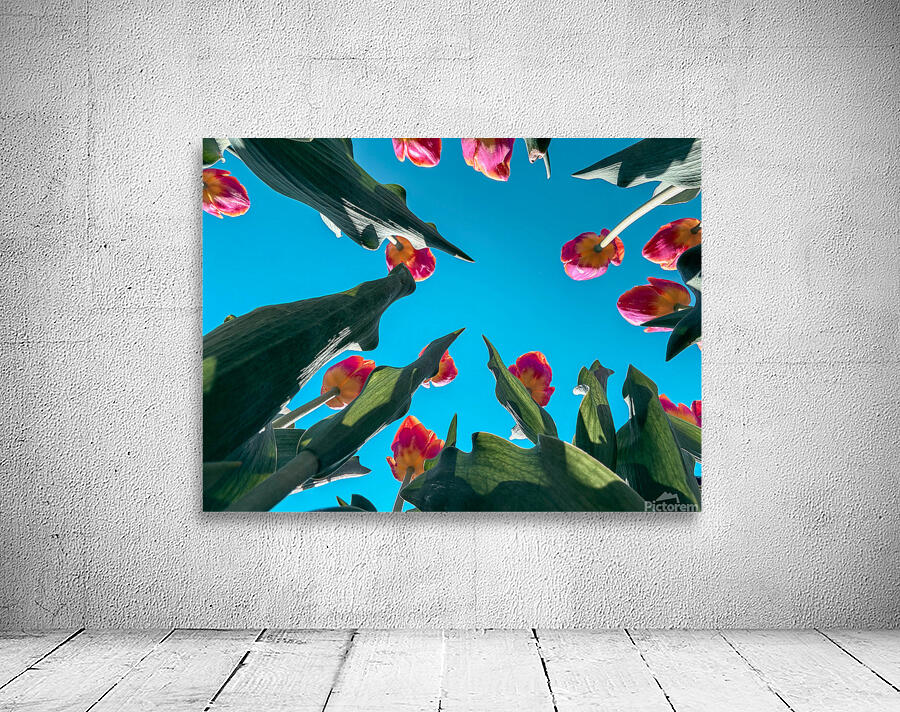 Flower time  Wall Preview