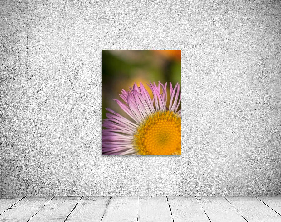 Flower 2 Wall Preview