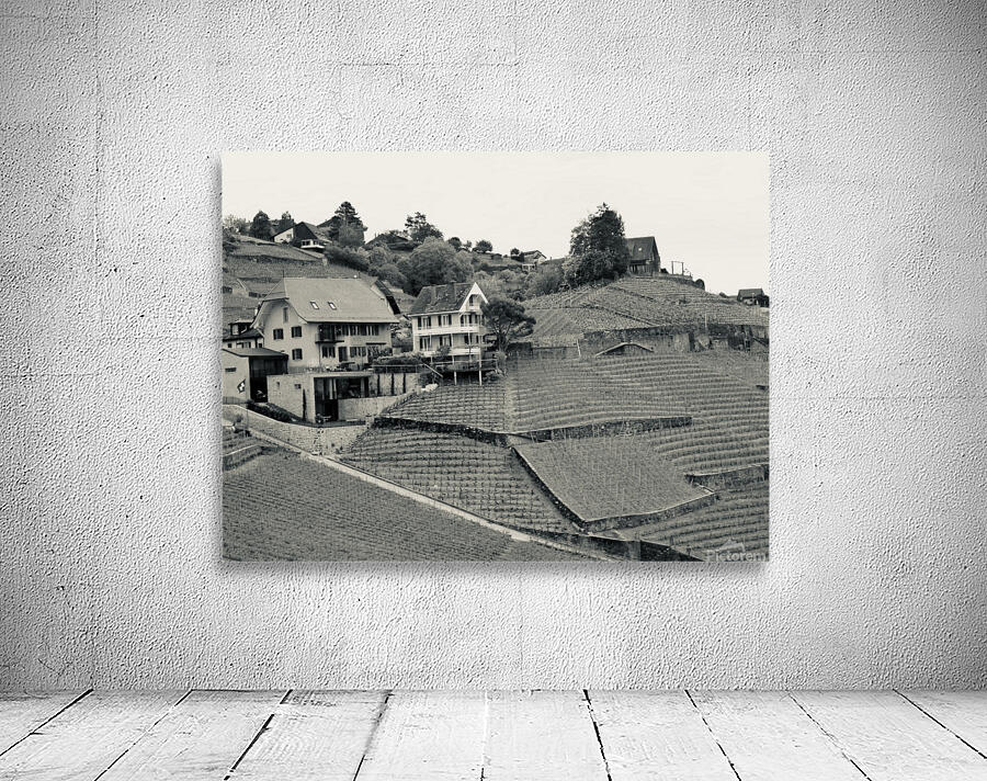 Terraced vineyard Wall Preview