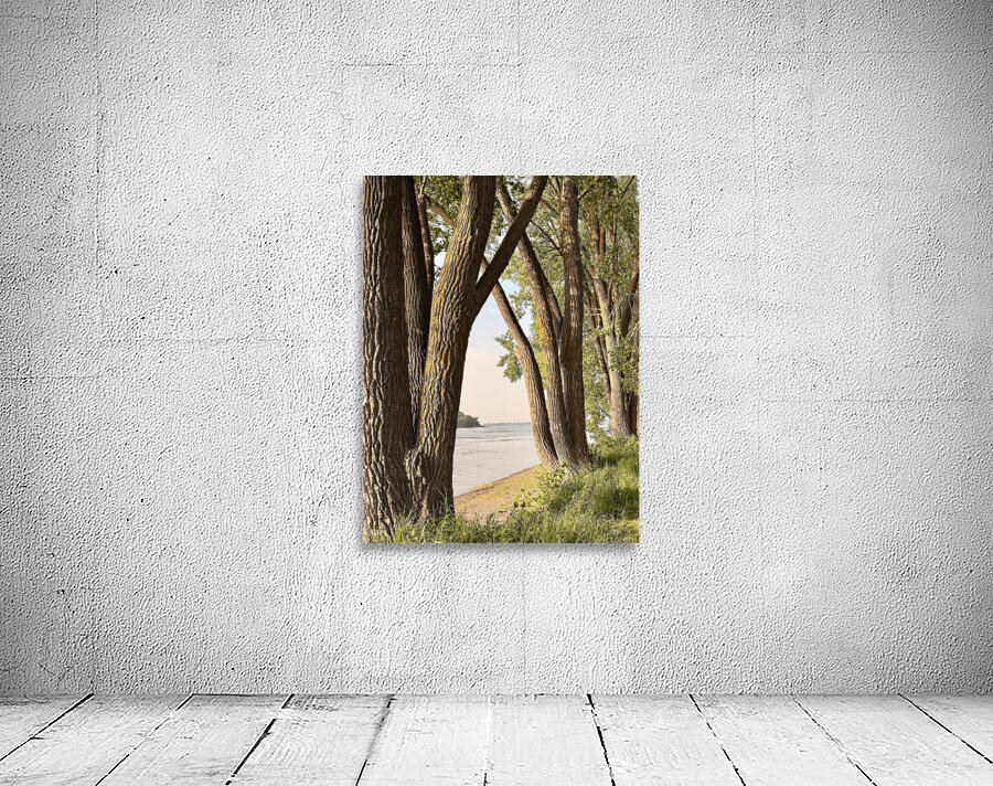 Opening on the River Wall Preview