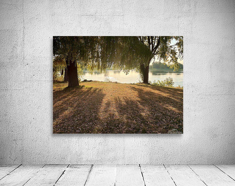 Tree shadows Wall Preview