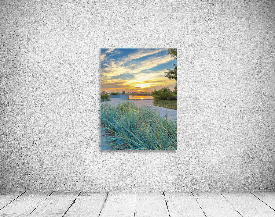 Grasses at dusk Wall Preview