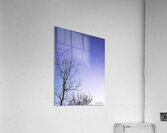 Night time moon Acrylic Print