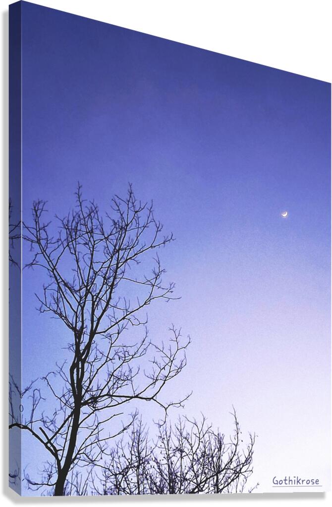 Night time moon Canvas Print