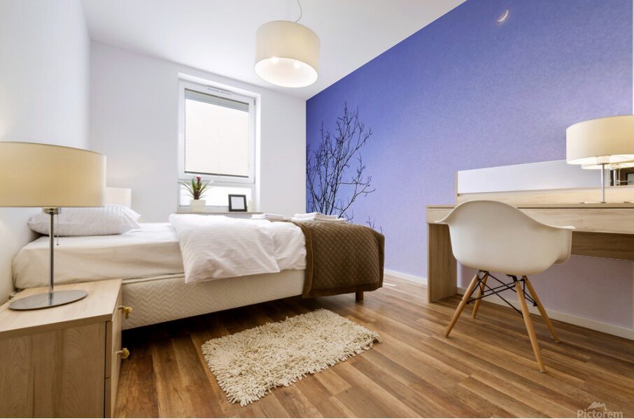 Night time moon Mural print