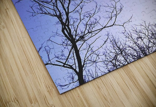 Night time moon Christie Brown puzzle