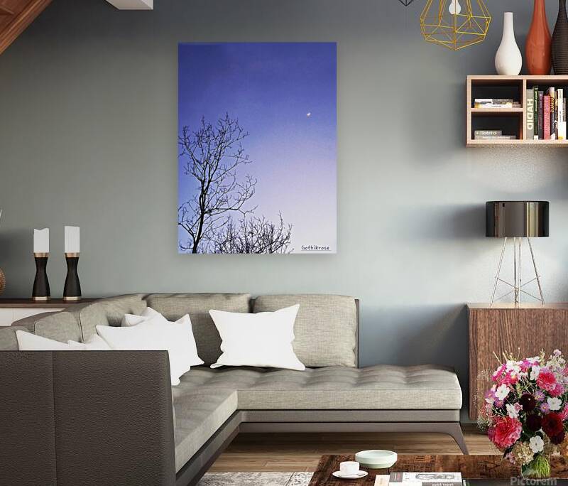 Night time moon Reproduction