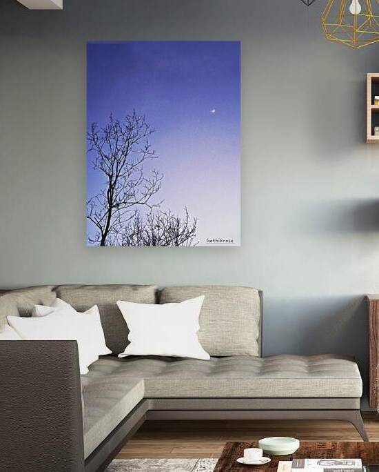 Night time moon Reproduction
