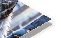 Tiger Beauty HD Metal print