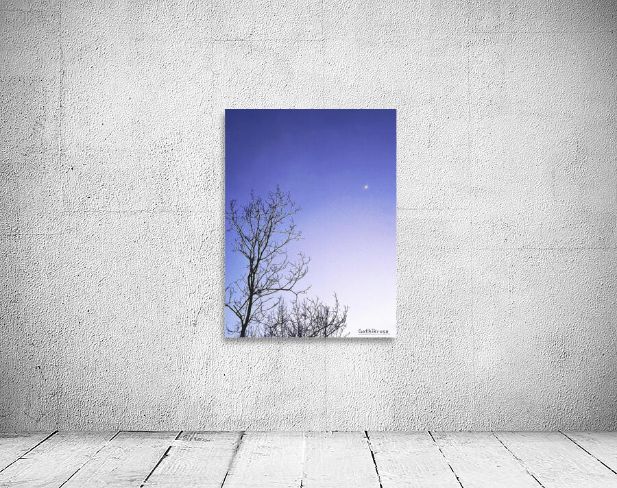 Night time moon Wall Preview