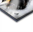 Liberty s Resolve 6 Acrylic print