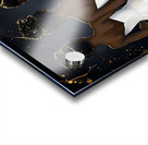 Queens in Unity 3 Acrylic print