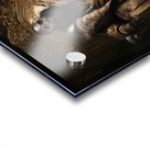 Renaissance Ross Acrylic print