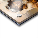 Bessie Coleman Acrylic print