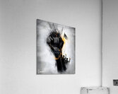 Liberty s Resolve 6 Acrylic Print