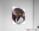 Shadow of Resolve 3 Acrylic Print