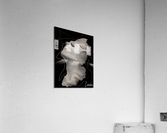Face Acrylic Print
