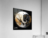 yin yang ele 4 Acrylic Print