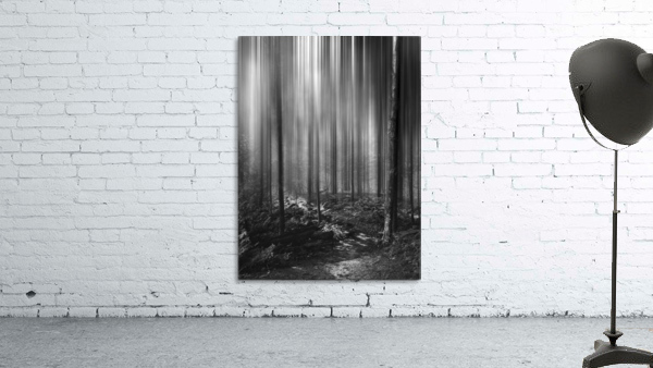The Way Through Wall Preview