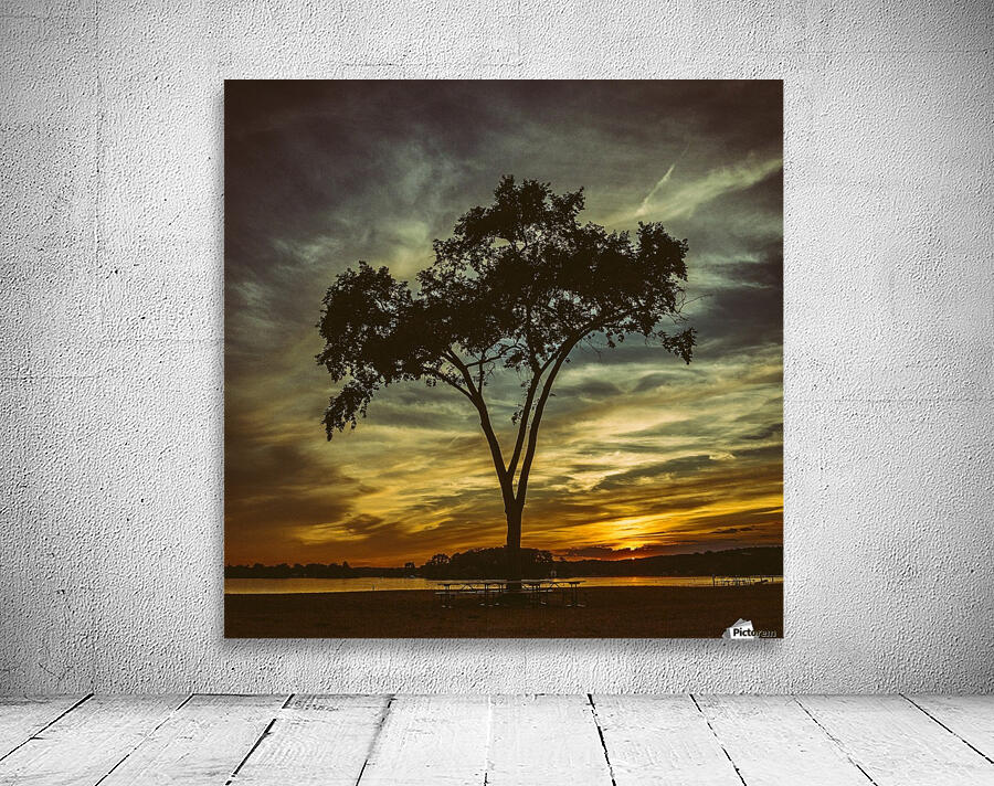 In Silhouette Wall Preview
