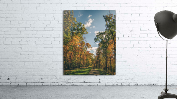 Walking through Autumn Wall Preview