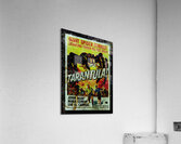 Tarantula Acrylic Print