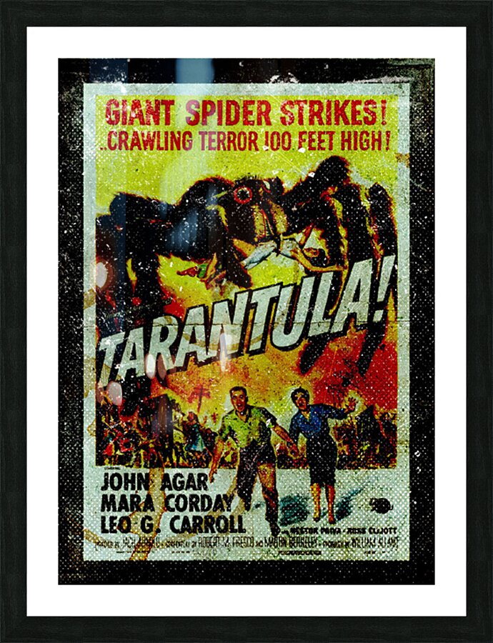 Tarantula Picture Frame print