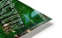 Frankenstein HD Metal print
