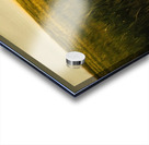 Golden Wheat Field with Red Poppy: A Serene Landscape Acrylic print