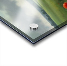  Dramatic Landscape with Dark Trees and Stormy Sky Acrylic print