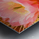   prompt   close up  blooming desert cactus  vibr Metal print